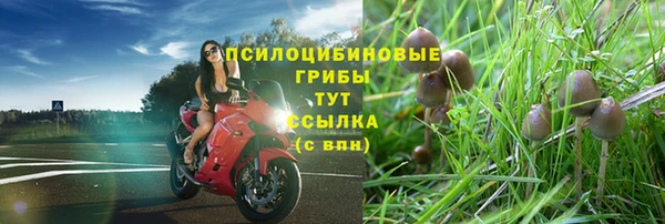 стафф Абаза