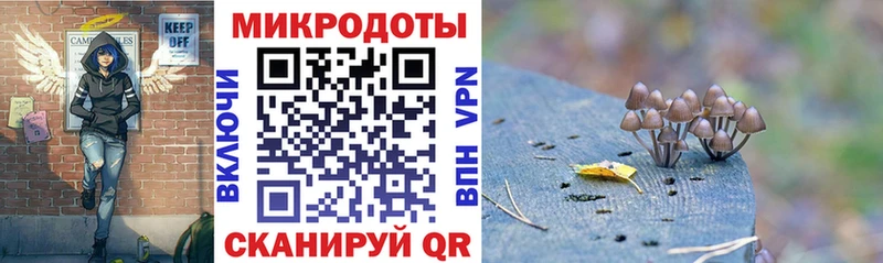 Псилоцибиновые грибы Cubensis  Котовск 